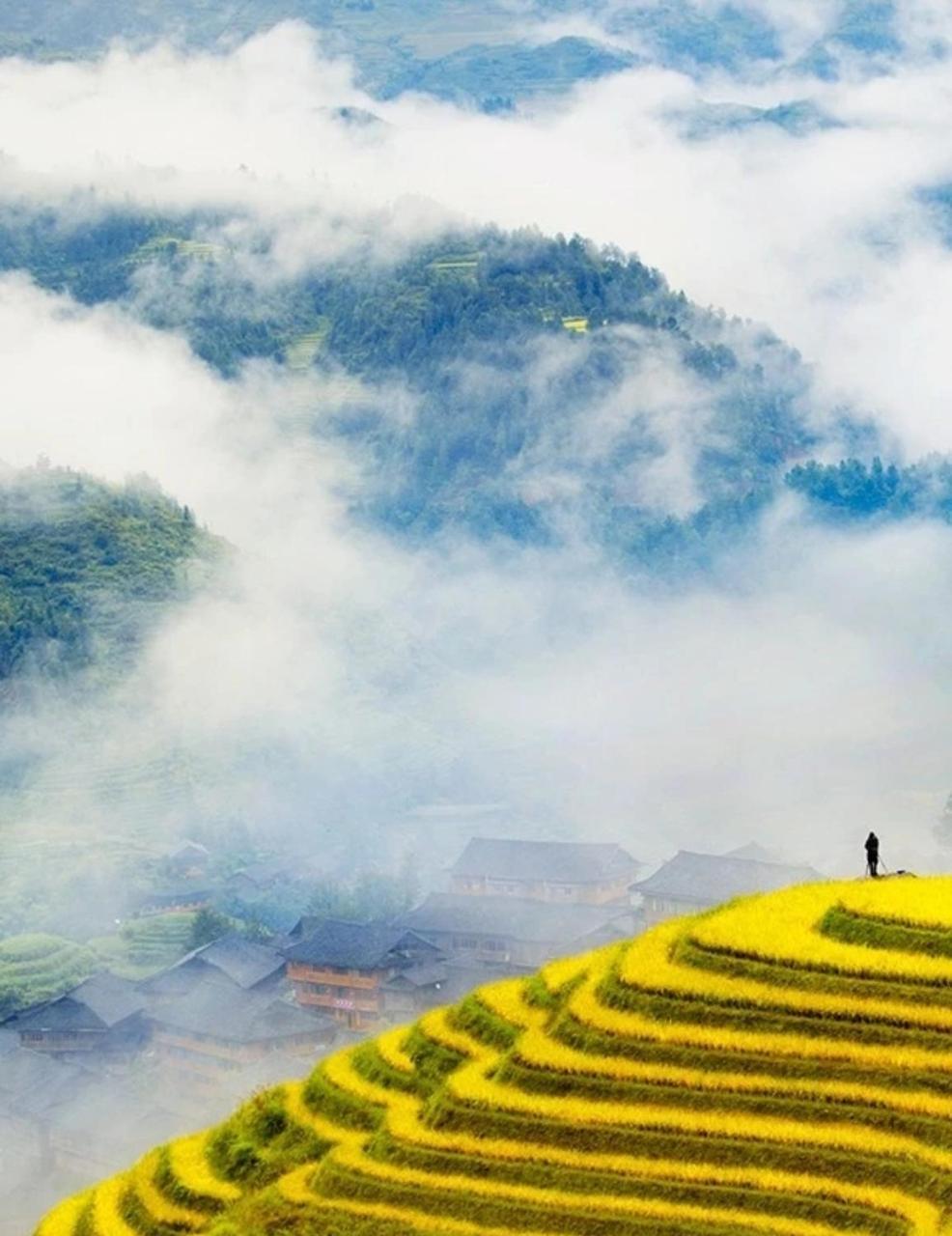 Rice View Villa Longsheng Buitenkant foto