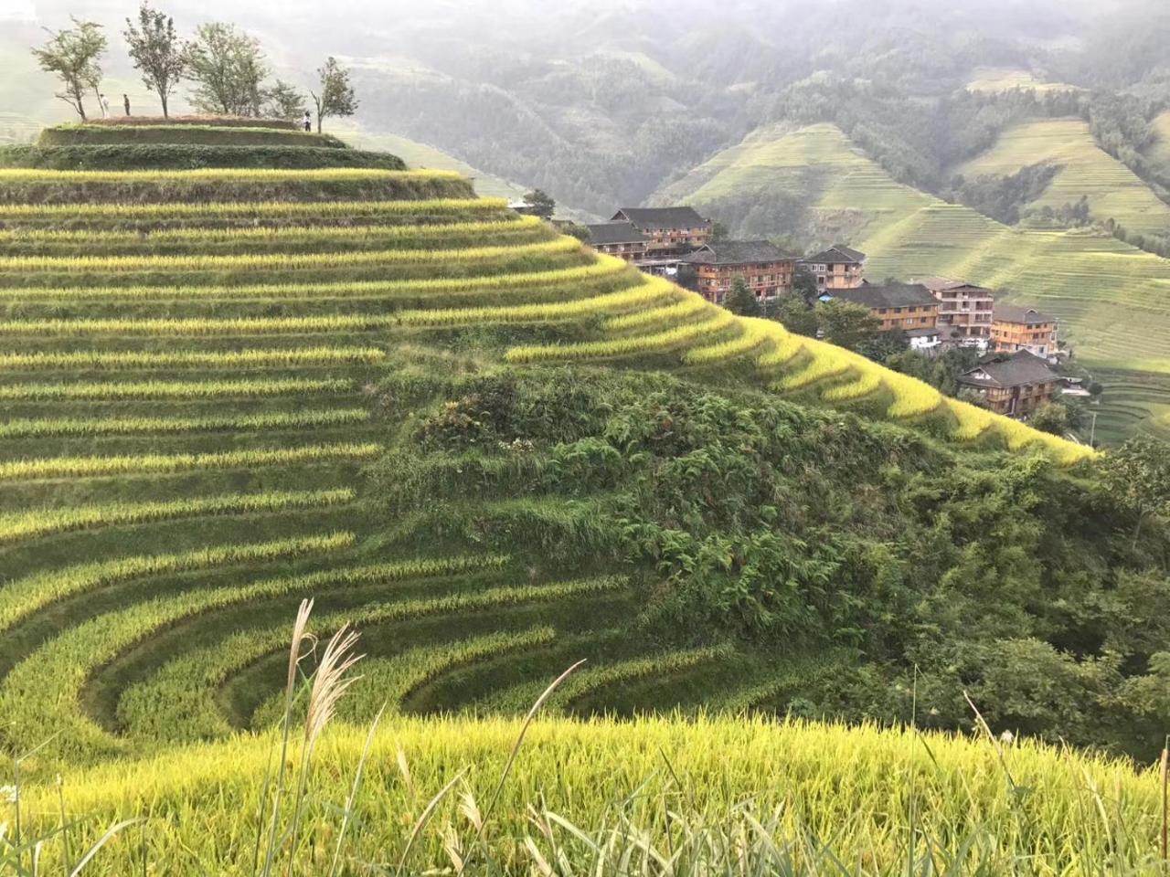 Rice View Villa Longsheng Buitenkant foto