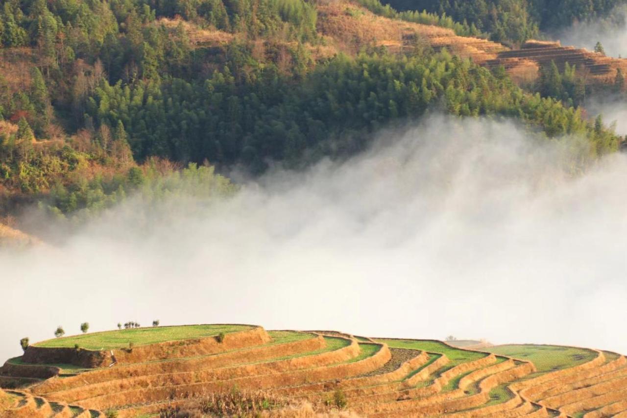 Rice View Villa Longsheng Buitenkant foto